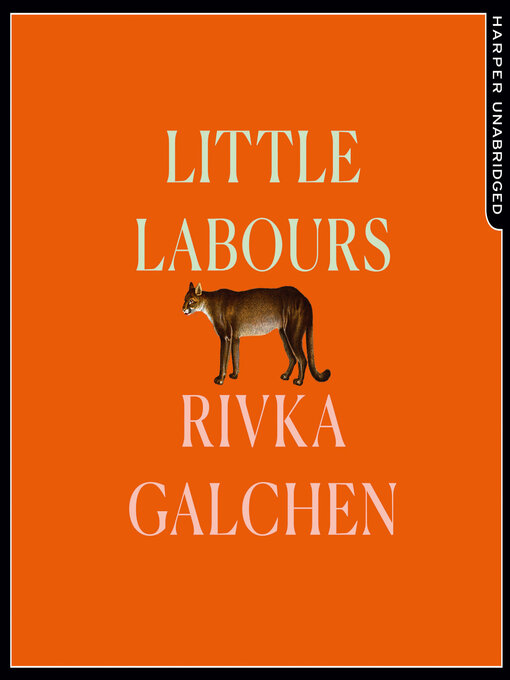 Title details for Little Labours by Rivka Galchen - Available